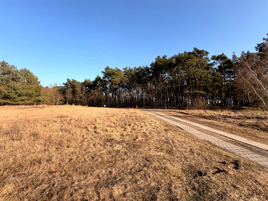 Pusta działka Dobra