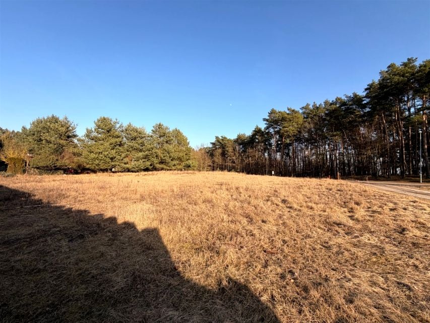 Zdjęcie 3
