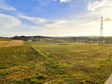 Działka usługowa Pasternik