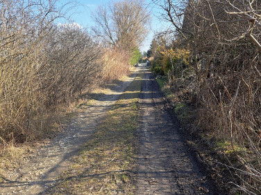 Działka budowlana Żurawiniec sprzedam