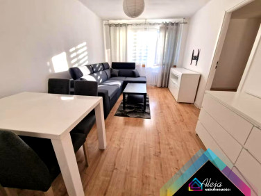 Mieszkanie Bielsko-Biała sprzedaż