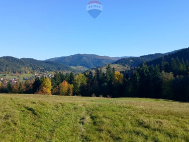 Działka rolna Poręba Wielka