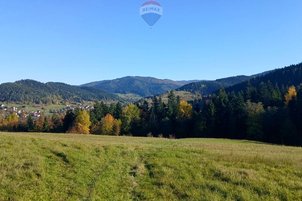 Działka rolna Poręba Wielka