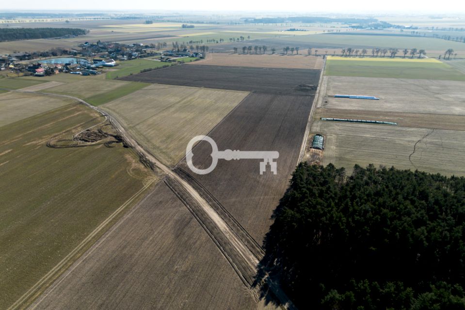 Działka rolna Strzępiń