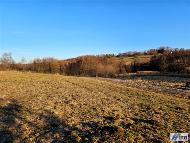 Pusta działka Chorągwica