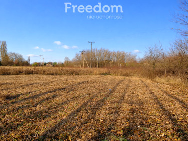Działka budowlana Mszczonów