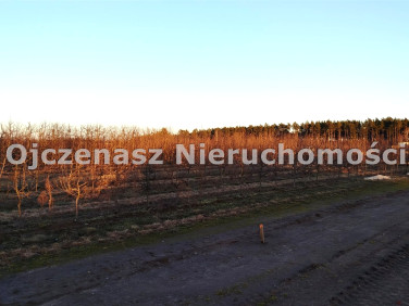 Działka budowlana Szczutki