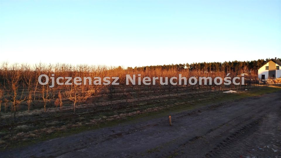 Działka budowlana Szczutki