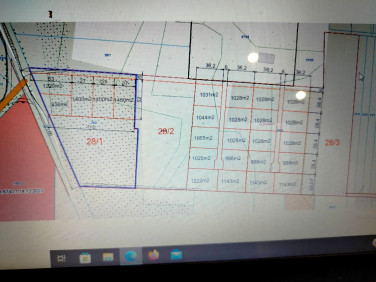 Pusta działka Kuriany