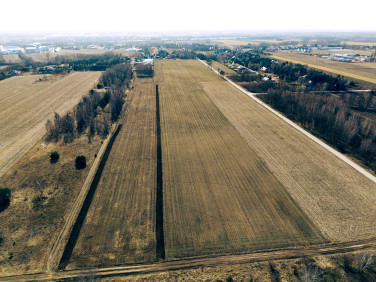 Działka Tymianka