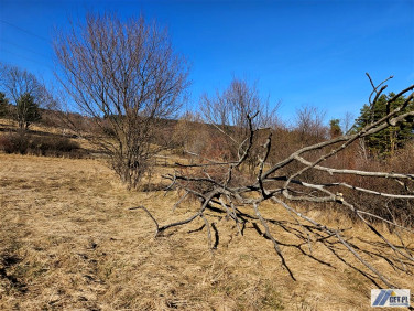 Działka budowlana Zawoja sprzedam