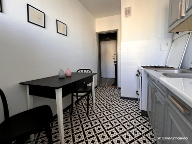 Mieszkanie Toruń wynajem