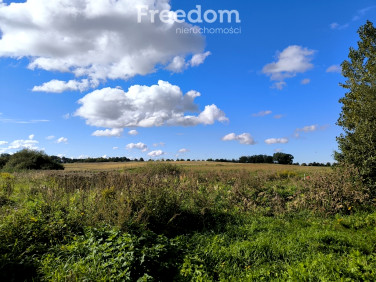 Działka SROKOWO