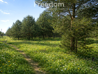 Działka Budy Zaklasztorne