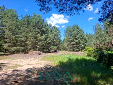 Działka rekreacyjna Borsuki-Kolonia