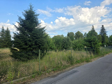 Działka budowlana Nowa Dęba