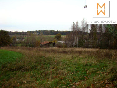 Działka rolna Zamarski