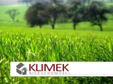 Działka budowlana Żernica