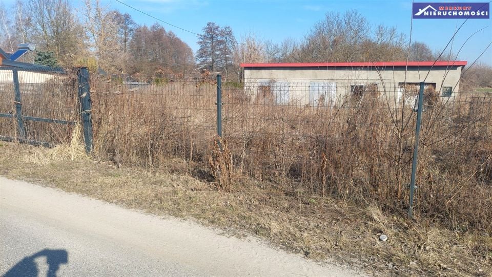 Zdjęcie 3