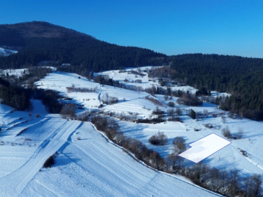 Działka rolna Kasina Wielka