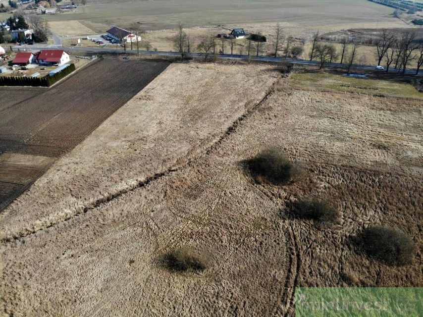 Zdjęcie 3