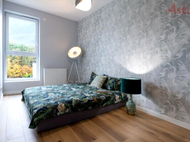 Mieszkanie apartamentowiec wynajem