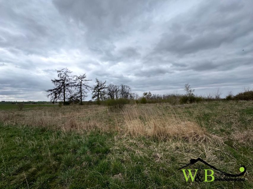 Działka rolna Zbrosławice