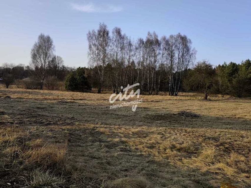 Zdjęcie 2