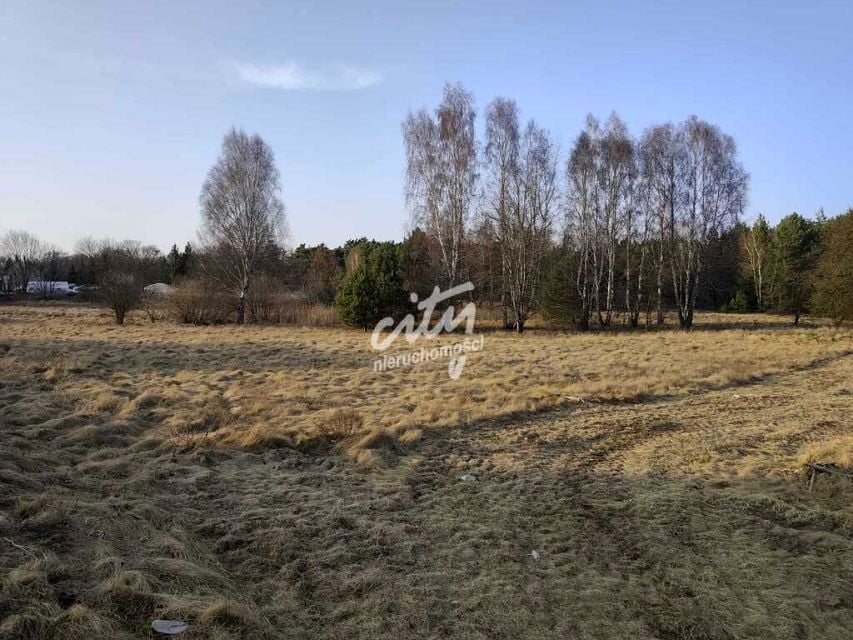 Zdjęcie 3