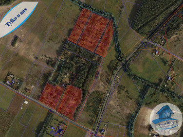 Działka siedliskowa Kowal