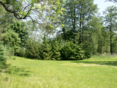 Działka budowlana Biskupiec