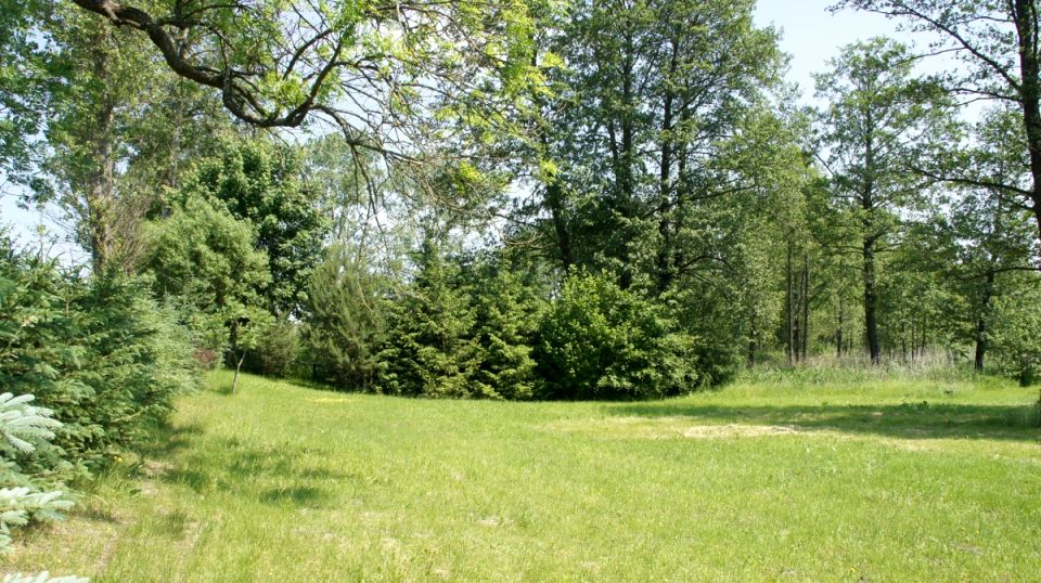 Działka budowlana Biskupiec