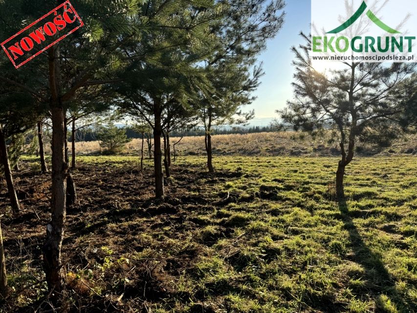 Działka rekreacyjna Słupice