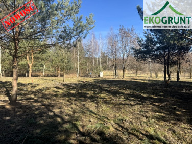 Działka rekreacyjna sprzedam