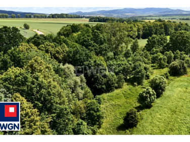 Działka budowlana Roszyce