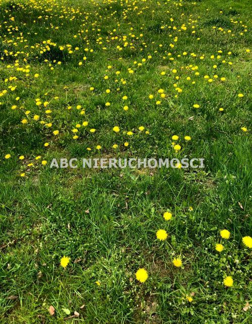 Działka budowlana Rybnik