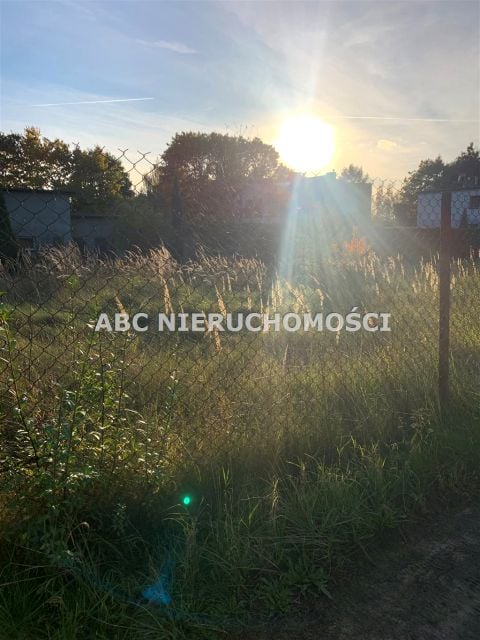 Zdjęcie 3