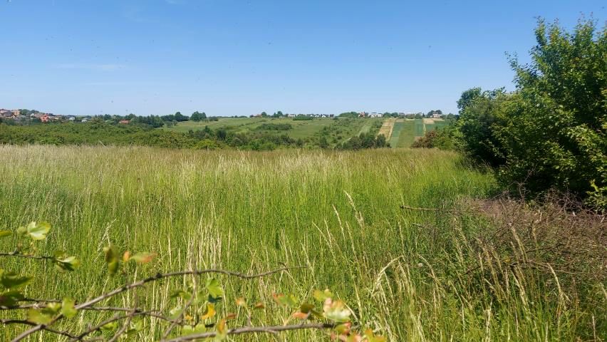 Działka budowlana Sadowie