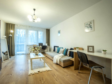 Mieszkanie Łódź sprzedaż