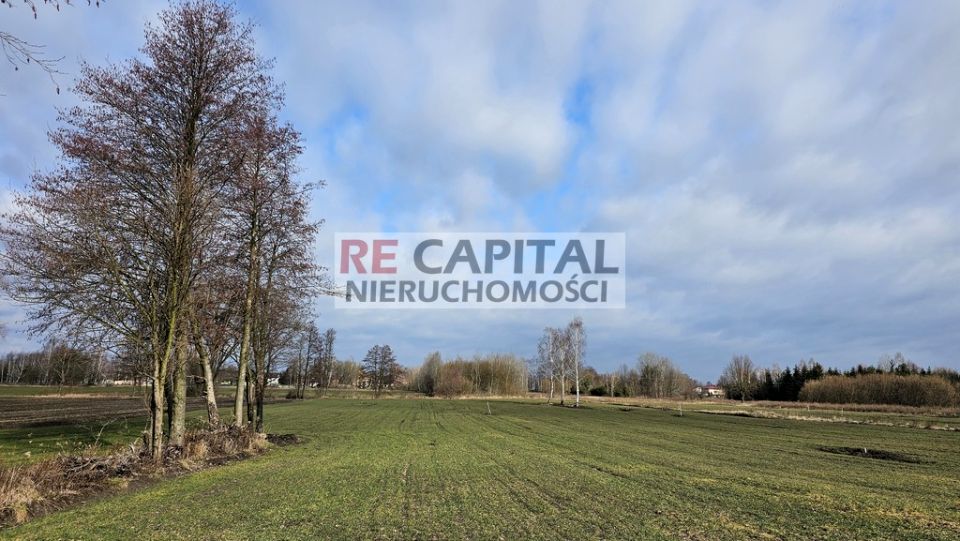 Działka BORZĘCIN MAŁY