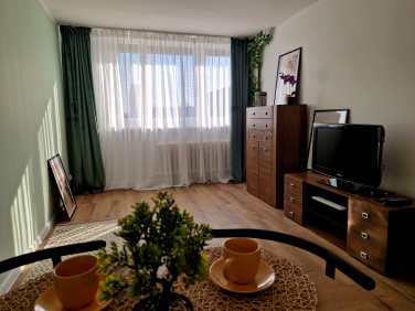 Mieszkanie Opole wynajem