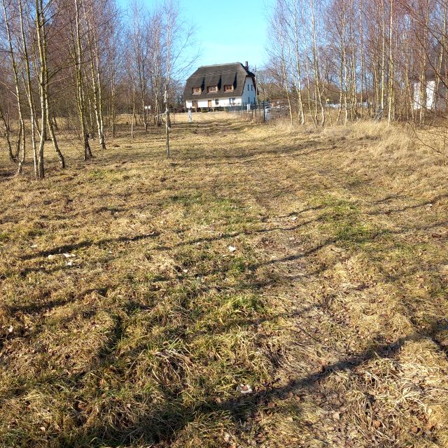 Działka nad jeziorem