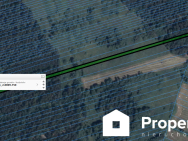 Działka leśna sprzedam