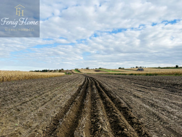 Działka budowlana Proszowice