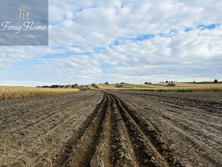 Działka budowlana Proszowice