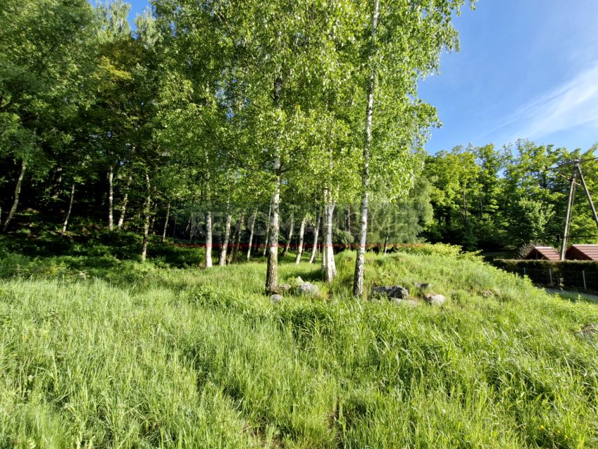 Działka Rościszów