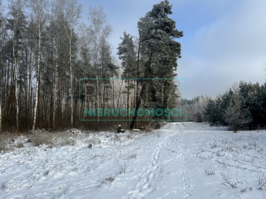 Działka Grzegorzewice