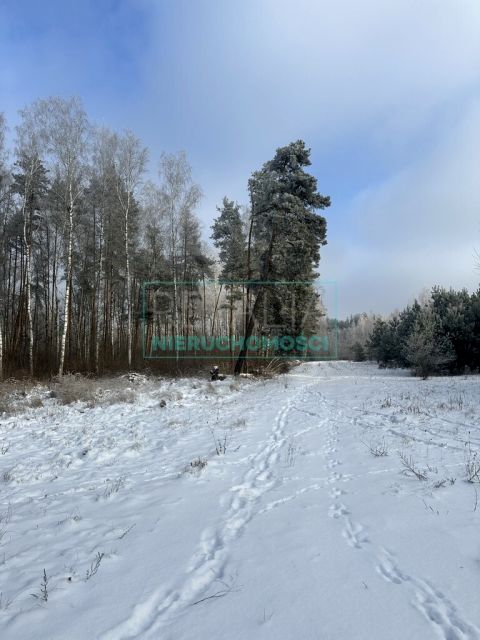 Działka Grzegorzewice