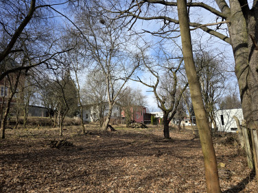 Działka Jelenia Góra