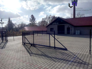 Budynek użytkowy Katowice